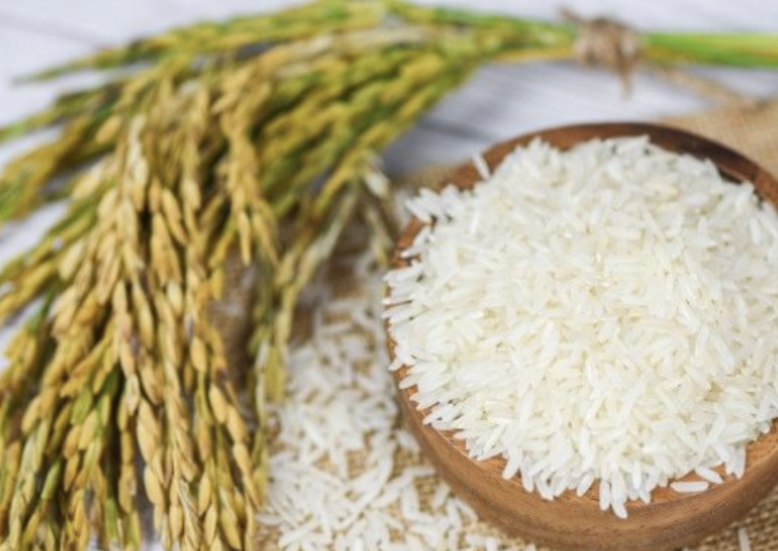 Isan Jasmine Rice: Thailand’s Fragrant Treasure