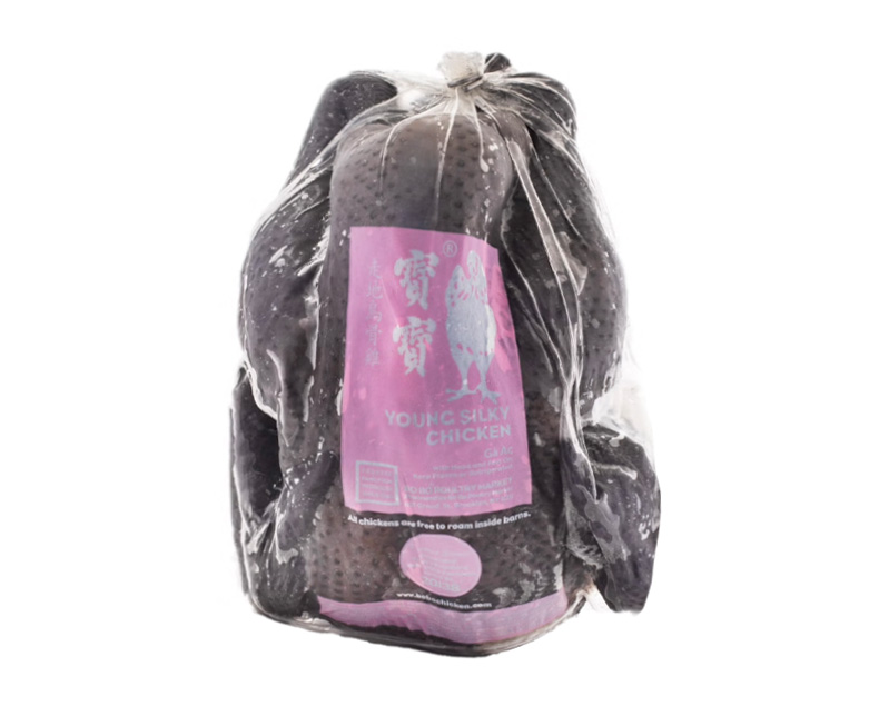 Young Silky Chicken (Black Chicken) preview