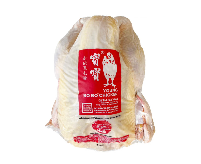 Young BoBo Chicken (Color Feather) preview